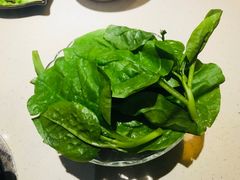 木耳菜-一叶一世界·素食餐厅(锦华万达店)