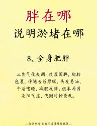 -Fundi张玉珊修身堂·indiba·BTL科技瘦身
