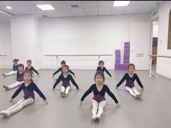 -西安小天鹅艺术团(金花路校区)