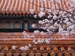 -故宫博物院(故宫)