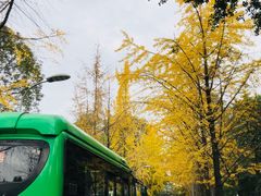 -四川大学(望江校区)
