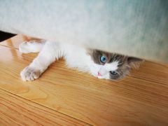 -隹木咖啡馆(宝龙广场店)