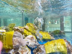 -炉队长·齐齐哈尔家庭烤肉(马家堡店)