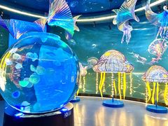 -南昌融创海世界
