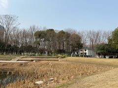 -后襄河公园