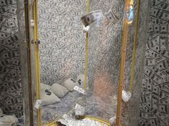 -不可思议减压馆·解压博物馆·摔碗发泄·团建定制