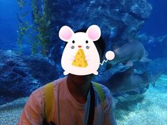 -暹罗海洋世界