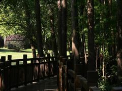 -东湖落雁景区