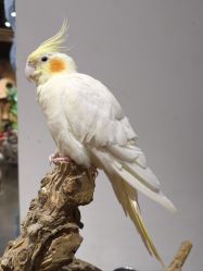 -Zoolung Zoolung动物主题公园(海信广场店)