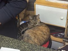 -协和菜馆(凤凰街店)