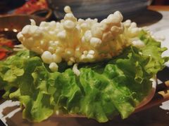 -杨家火锅(国美店)