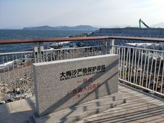 -大梅沙海滨公园