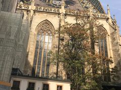 -斯蒂芬主教座堂(Stephansdom)