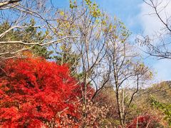 -崂山巨峰游览区