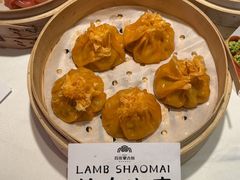-百彦蒙古包·碳烤羊排·手抓羊肉(万江首店)