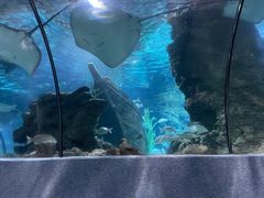 -南昌海洋公园