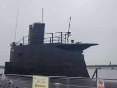 -泰达航母主题公园