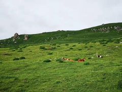 -蔚县茶山村