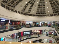 -李子坝梁山鸡(北碚万达五鸡哥店)