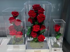 -ROSEONLY诺誓(广州K11店)