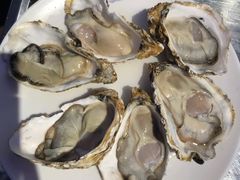 -千岛蚝高压锅生蚝·人参火锅(白云万达店)