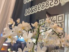 -肥朵食堂(带梦胡同店)