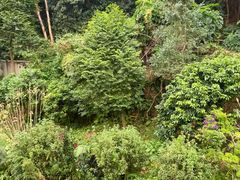 -濠景渔港(汇通店)