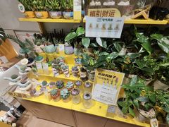 -首开·龙湖成都西宸天街