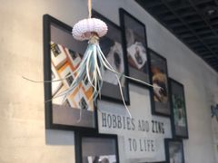 -ZING COFFEE 镜咖啡