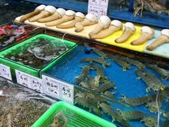 -渔人码头(洛溪店)