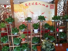 -西山人家·传统苏帮菜·家宴(木渎店)