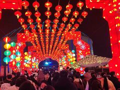 -泉城欧乐堡梦幻世界