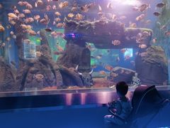 -石家庄海洋公园