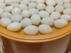 -龍歌自助小火锅(漳州二路爱购店)