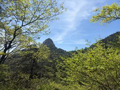 -明堂山风景区