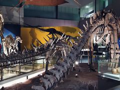 -湖南省地质博物馆