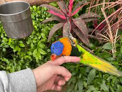 -南宫五洲植物乐园