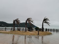 -宋井风景区