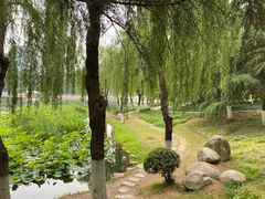 -后襄河公园