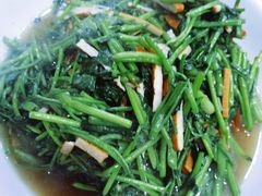 -全乐鱼馆·淳牌有机鱼直营店
