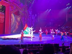 -珠海横琴长隆《卡卡虎奇遇记》