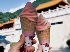 -深圳仙湖植物园