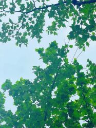 -复旦大学附属妇产科医院(黄浦院区)