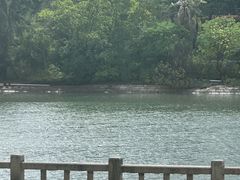 -时光花园(白鹭洲店)