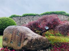 -嘉定紫藤园