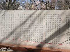 -桃花堤公园