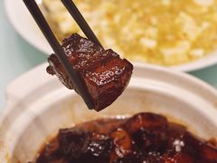 -新吉士·上海菜(浦东LCM置汇旭辉店)