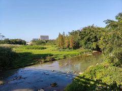-广东花都湖国家湿地公园
