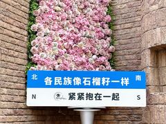 -伊带伊路新疆美食府(呼家楼店)