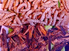 -石屏老字号4号包浆豆腐美食城(泼水广场店)